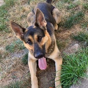 Meet your Posher, Jamie